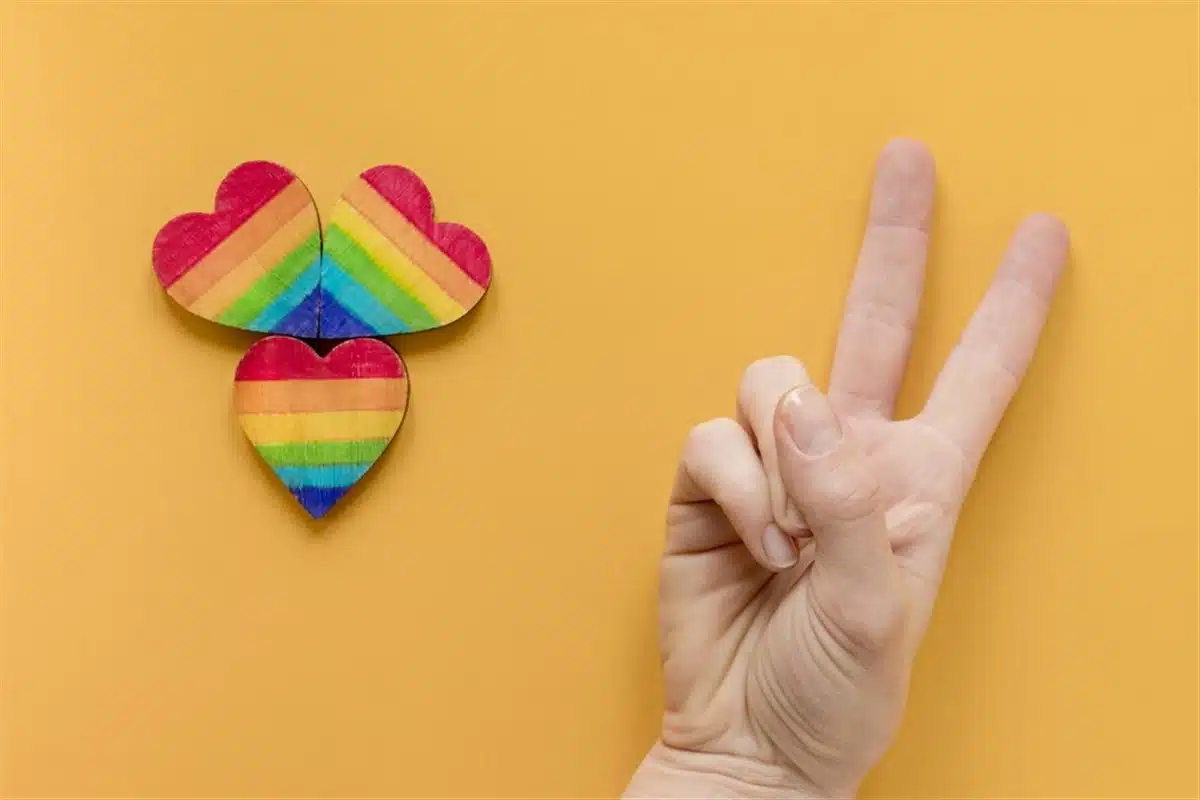 analyse signe lgbt