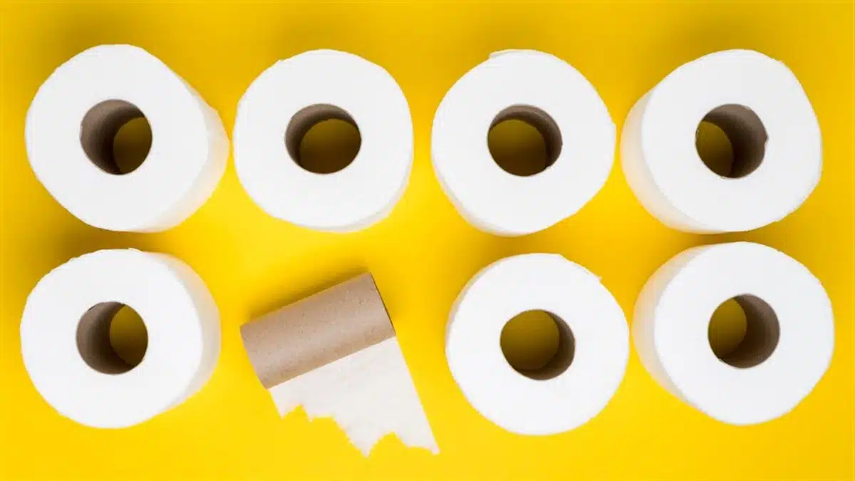 aventure du papier toilette