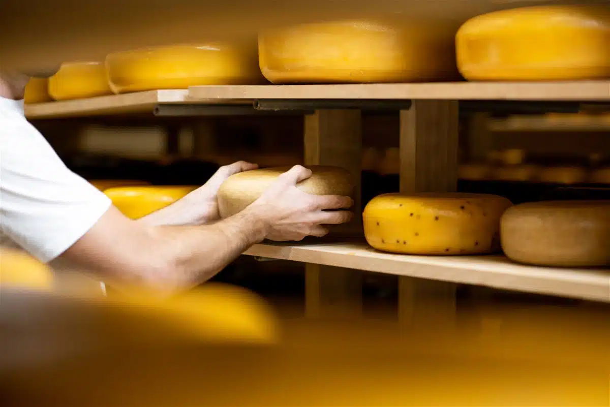 choix de fromage