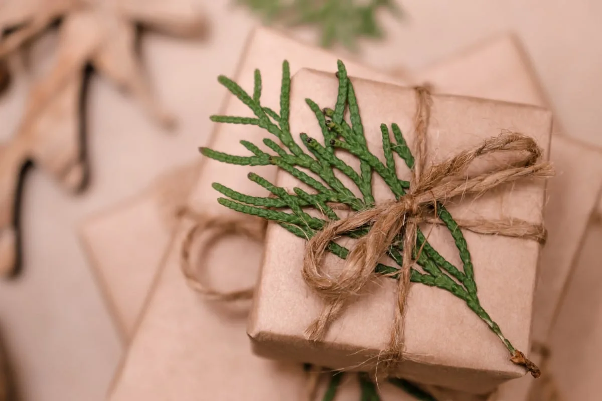idées de papier cadeau 0 déchet